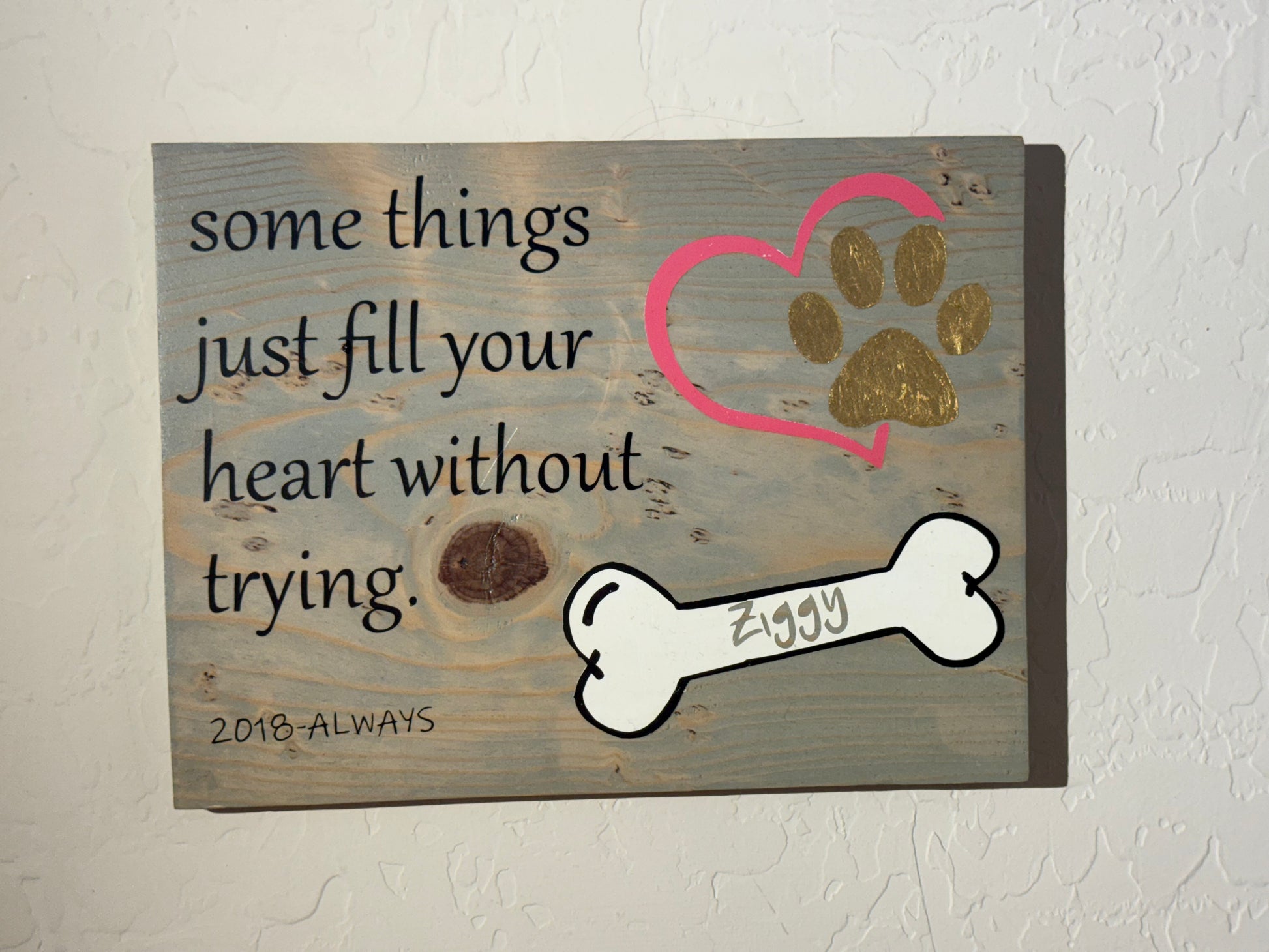 Wooden sign with paw prints, a heart, and a bone with 'Ziggy' on it, against a light gray background.